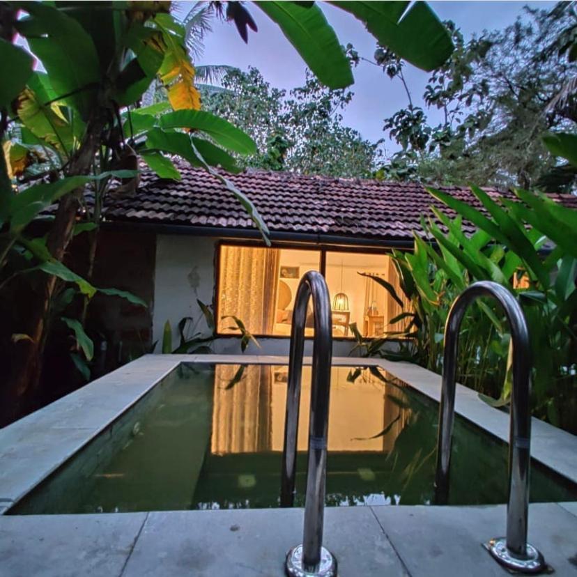 Sunsets And Palm Trees Bed & Breakfast Alappuzha Екстериор снимка
