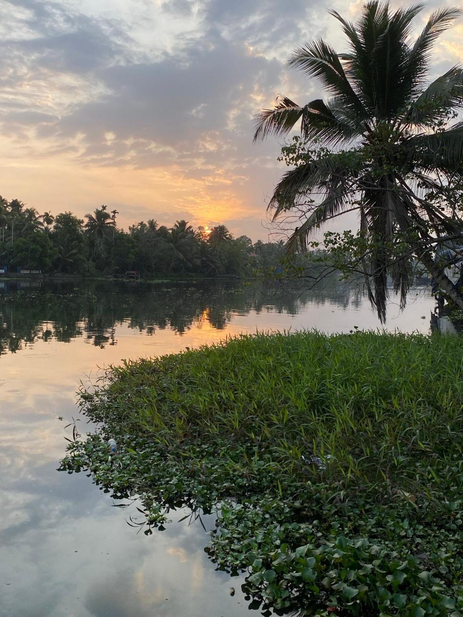 Sunsets And Palm Trees Bed & Breakfast Alappuzha Екстериор снимка