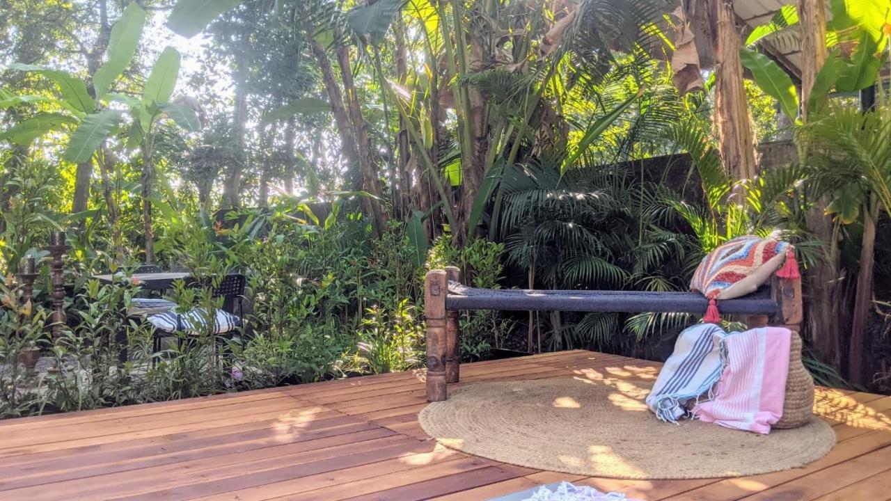 Sunsets And Palm Trees Bed & Breakfast Alappuzha Стая снимка