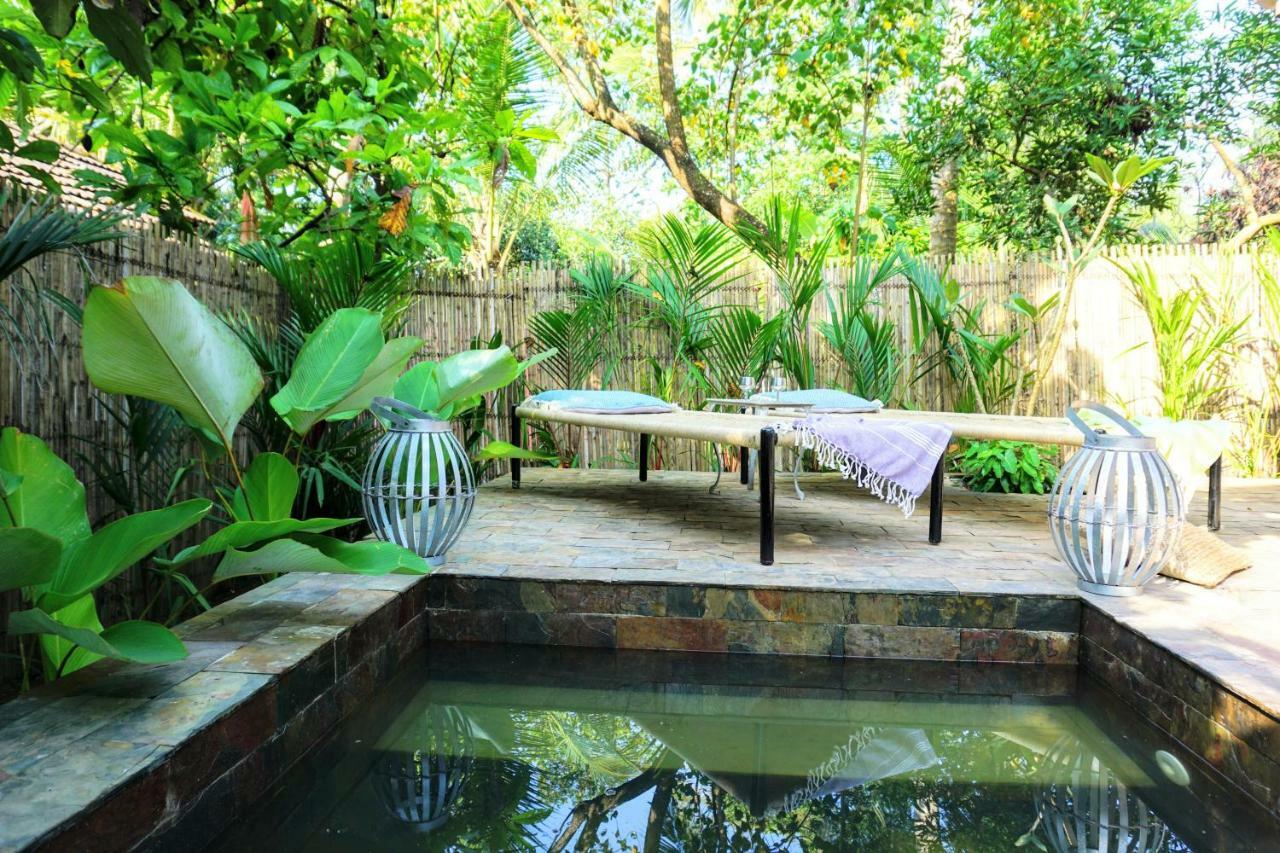 Sunsets And Palm Trees Bed & Breakfast Alappuzha Екстериор снимка